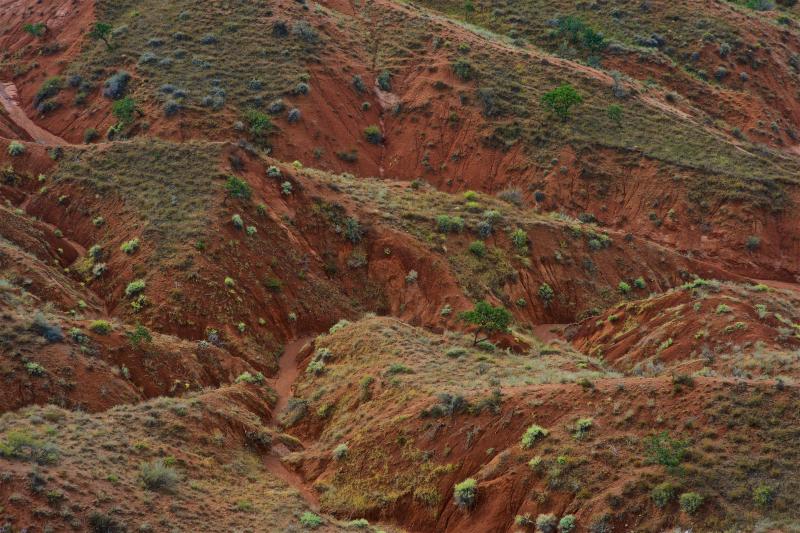 Каньон красных скал в районе пос. Таш-Кумыр