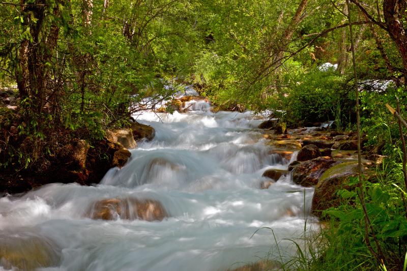 Маленькая речка, впадающая в реку Чычкан (ущелье Чычкан)