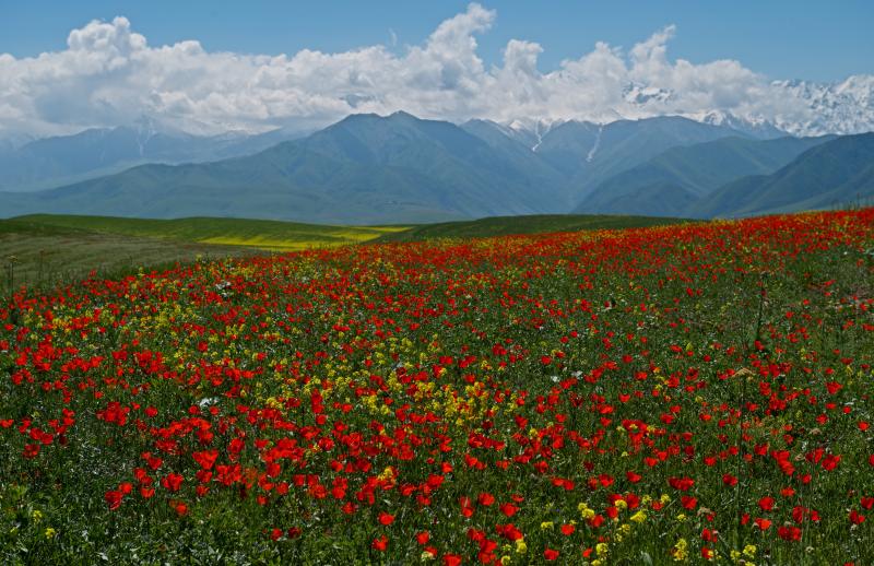 Весна в окрестностях Бишкека