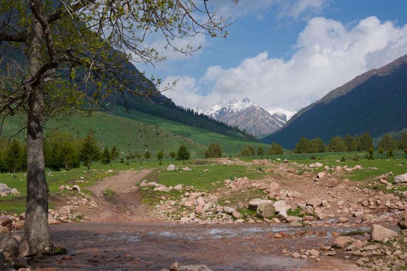ущелье реки Ит-Агар (впадает в Чычкан)