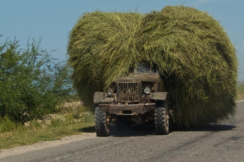 Перевозка сена (южный берег Иссык-Куля)