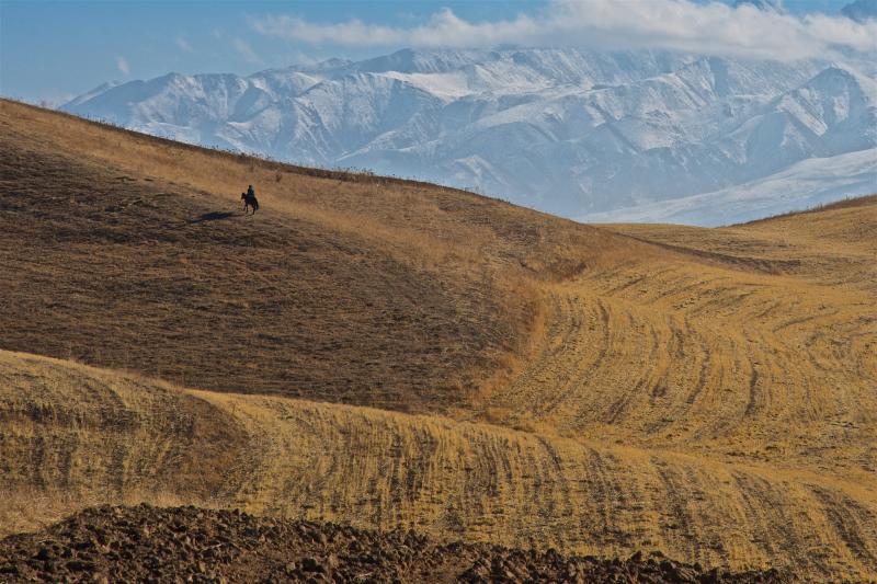 Холмы за селом Орто-Сай в окрестностях Бишкека (ноябрь)