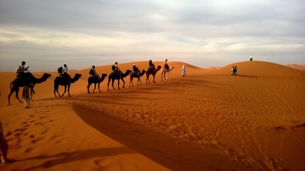 caravan-desert-safari-dune-53537