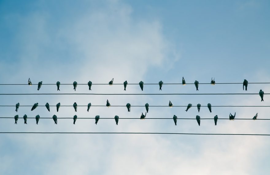 unsplash-com-photo-1478809956569-c7ce9654a947-880x570