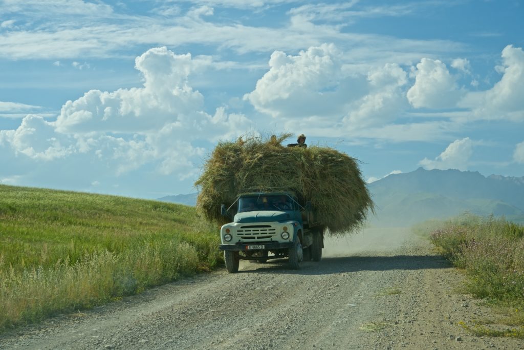 selskoe-hozyaystvo-selskaya-zhizn