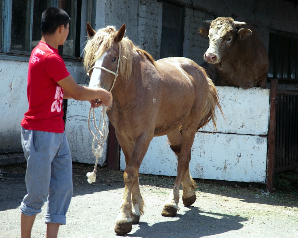 korporatsiya-ayu-15