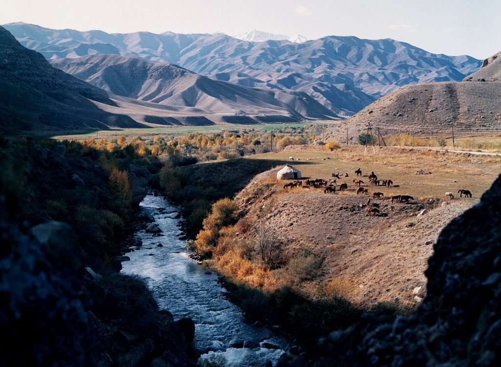 toktogul-2