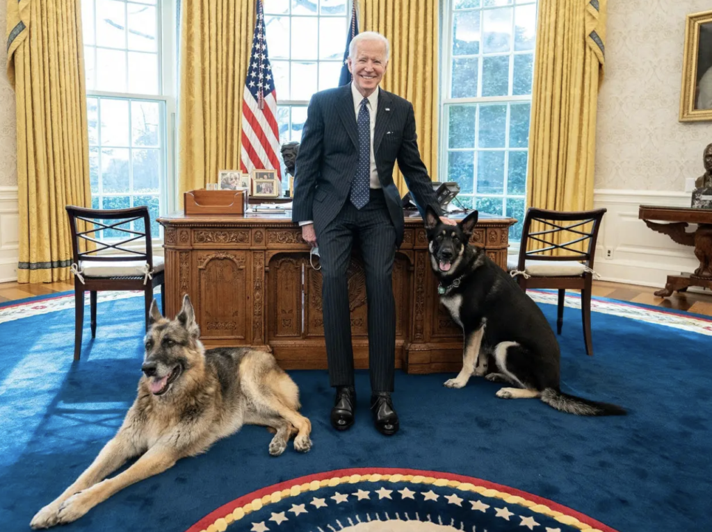 US President Joe Biden in the White House (c) White House
